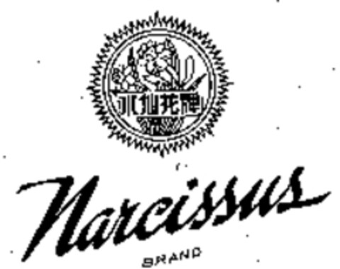 Narcissus BRAND Logo (WIPO, 03.01.2005)