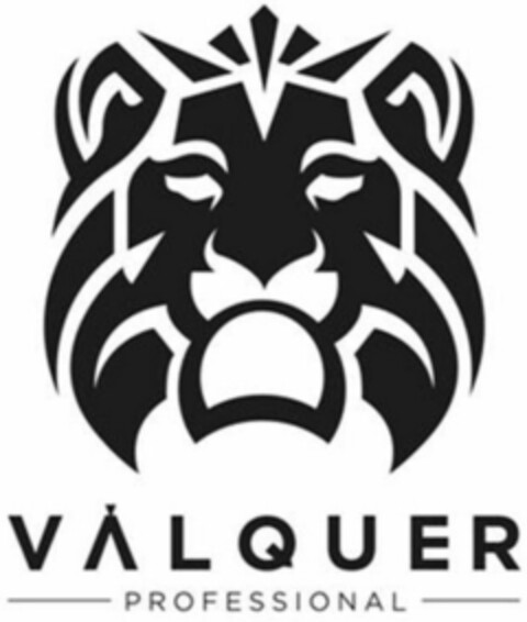 VALQUER PROFESSIONAL Logo (WIPO, 13.02.2019)