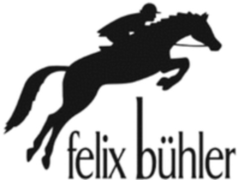 felix bühler Logo (WIPO, 15.07.2021)