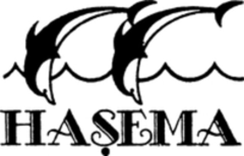 HASEMA Logo (WIPO, 31.01.2007)