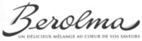 Berolma UN DÉLICIEUX MÉLANGE AU COEUR DE VOS SAVEURS Logo (WIPO, 06.08.2008)