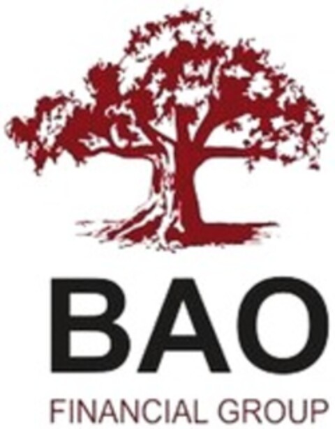 BAO FINANCIAL GROUP Logo (WIPO, 20.02.2020)