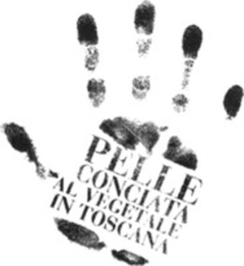 PELLE CONCIATA AL VEGETALE IN TOSCANA Logo (WIPO, 14.01.2009)