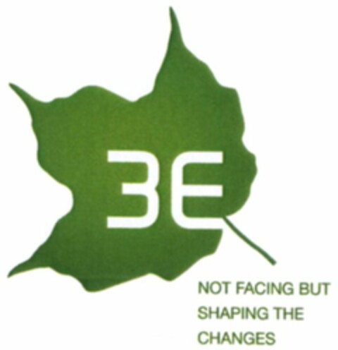 3E NOT FACING BUT SHAPING THE CHANGES Logo (WIPO, 06/12/2008)