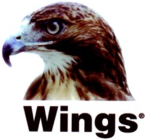Wings Logo (WIPO, 03.02.2010)