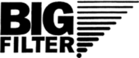 BIG FILTER Logo (WIPO, 07.06.2010)