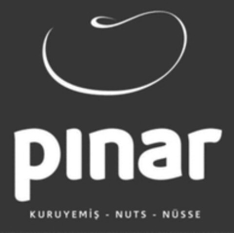 pinar KURUYEMIŞ NUTS NÜSSE Logo (WIPO, 11.12.2017)