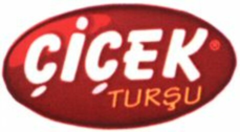 CICEK TURSU Logo (WIPO, 20.07.2004)
