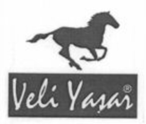 Veli Yasar Logo (WIPO, 10.10.2006)