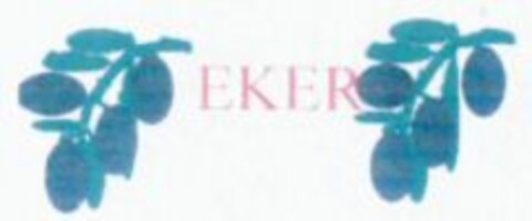 EKER Logo (WIPO, 06.06.2008)