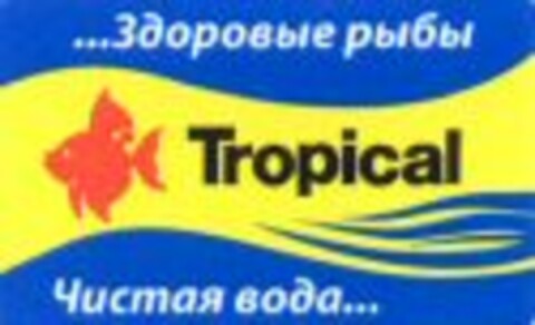 Tropical Logo (WIPO, 15.09.2010)