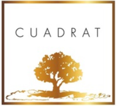 CUADRAT Logo (WIPO, 15.09.2016)