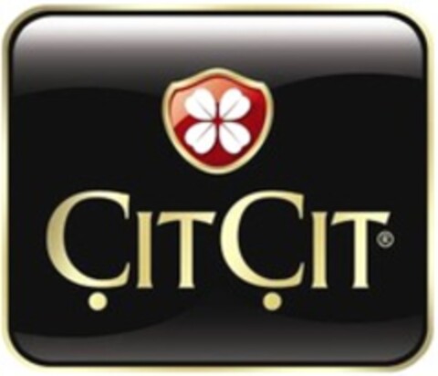 ÇITÇIT Logo (WIPO, 09/21/2012)