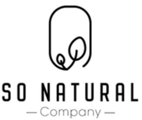 SO NATURAL Company Logo (WIPO, 07.04.2019)