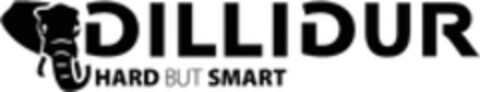 DILLIDUR HARD BUT SMART Logo (WIPO, 12.10.2022)