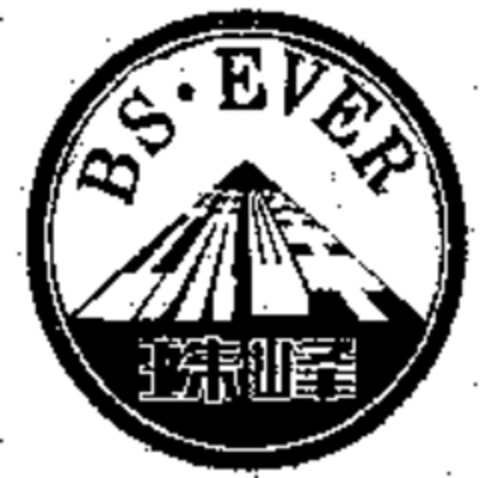 BS EVER Logo (WIPO, 21.05.2007)