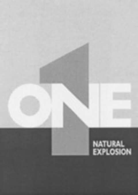 ONE NATURAL EXPLOSION Logo (WIPO, 05.07.2007)