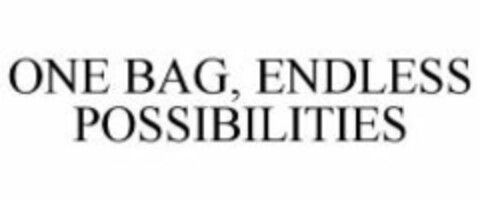 ONE BAG, ENDLESS POSSIBILITIES Logo (WIPO, 07/13/2009)