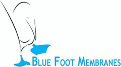 BLUE FOOT MEMBRANES Logo (WIPO, 08.10.2015)