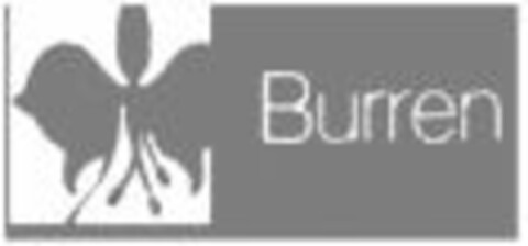 Burren Logo (WIPO, 13.05.2008)