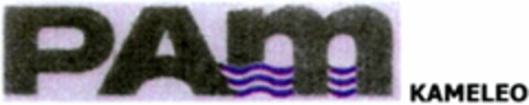 PAM KAMELEO Logo (WIPO, 07/13/2007)