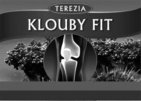 TEREZIA KLOUBY FIT Logo (WIPO, 25.09.2018)