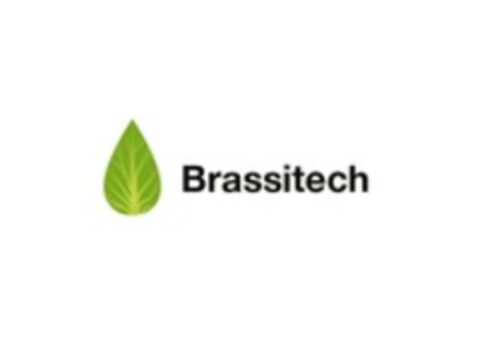 Brassitech Logo (WIPO, 12.10.2015)