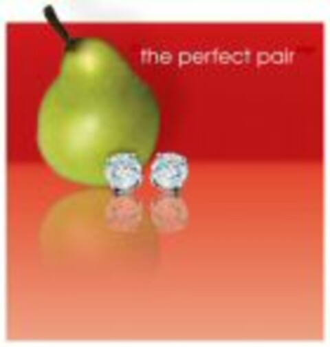 the perfect pair Logo (WIPO, 04/17/2007)