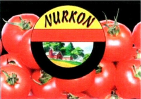 NURKON Logo (WIPO, 12/31/2009)