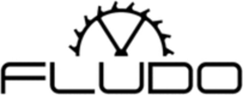 FLUDO Logo (WIPO, 12/06/2020)