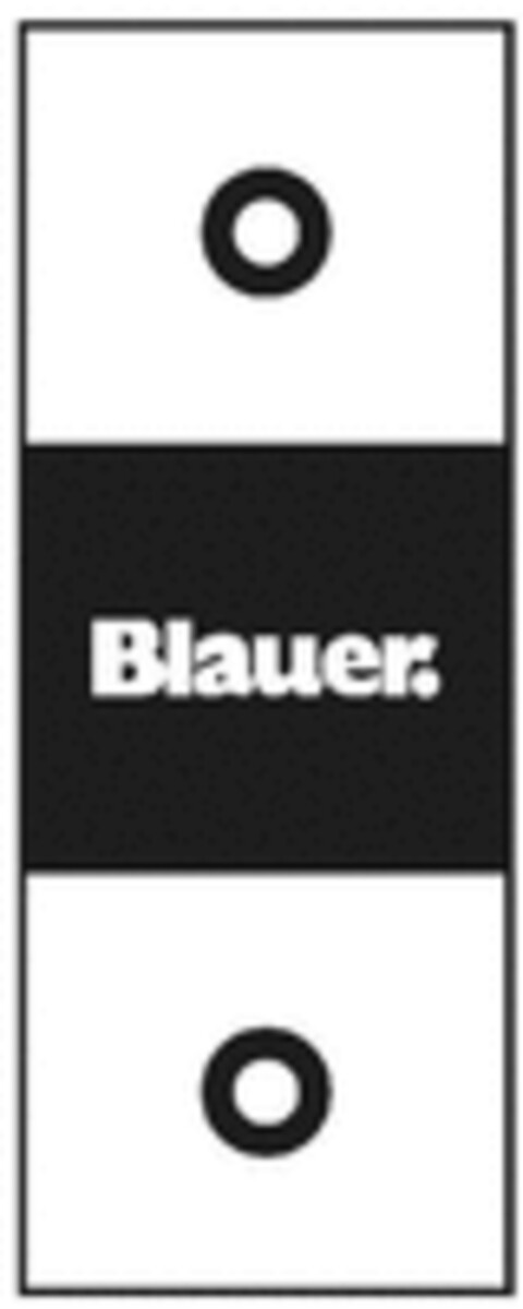 Blauer. Logo (WIPO, 12.07.2022)