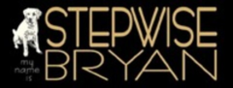 my name is STEPWISE BRYAN Logo (WIPO, 10/25/2019)