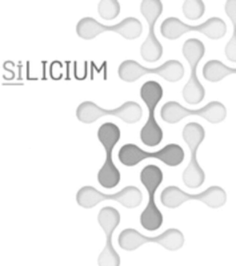 SILICIUM Logo (WIPO, 22.10.2021)