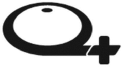Q+ Logo (WIPO, 26.05.2023)