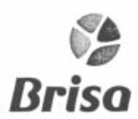 Brisa Logo (WIPO, 24.08.2007)