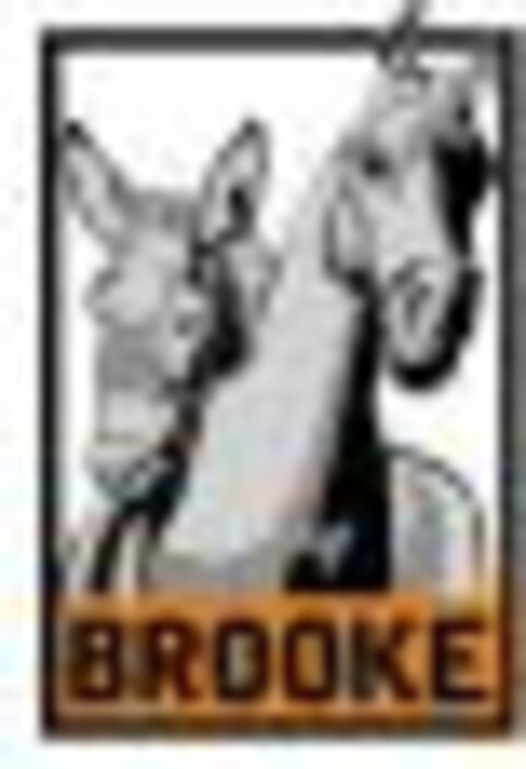 BROOKE Logo (WIPO, 05/04/2010)