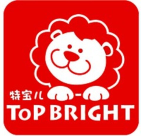 TOP BRIGHT Logo (WIPO, 18.09.2017)