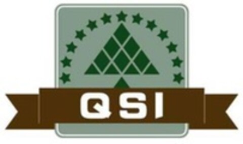 QSI Logo (WIPO, 23.11.2018)