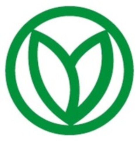 6233825 Logo (WIPO, 29.10.2020)