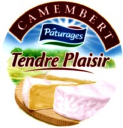 CAMEMBERT Pâturages Tendre Plaisir Logo (WIPO, 17.04.2009)