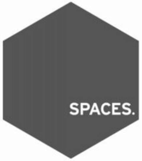 SPACES Logo (WIPO, 17.08.2010)