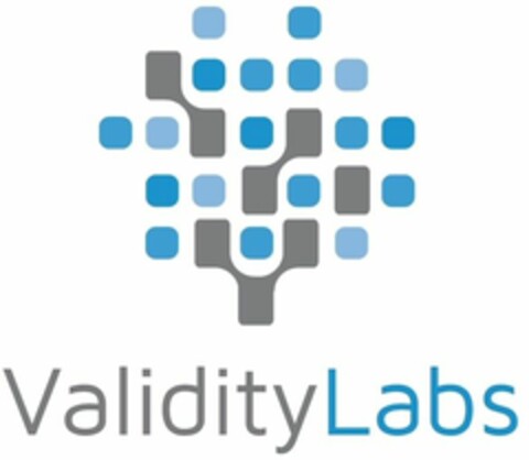 ValidityLabs Logo (WIPO, 14.06.2017)