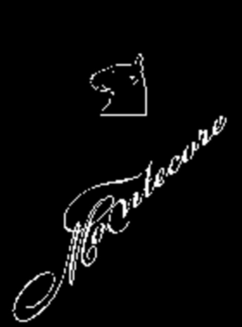 Montecore Logo (WIPO, 03/09/2007)