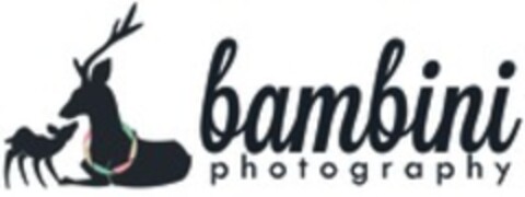 bambini photography Logo (WIPO, 25.05.2017)