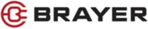BRAYER Logo (WIPO, 04.02.2020)