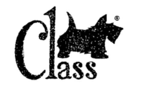 Class Logo (WIPO, 08/30/1990)