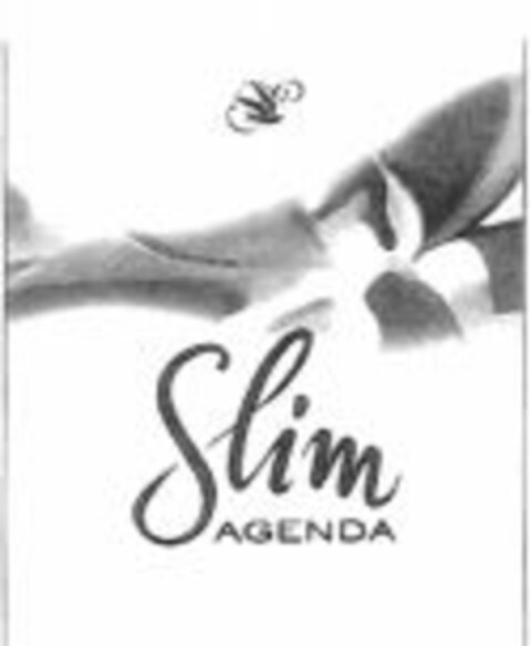 Slim AGENDA Logo (WIPO, 05.05.2007)