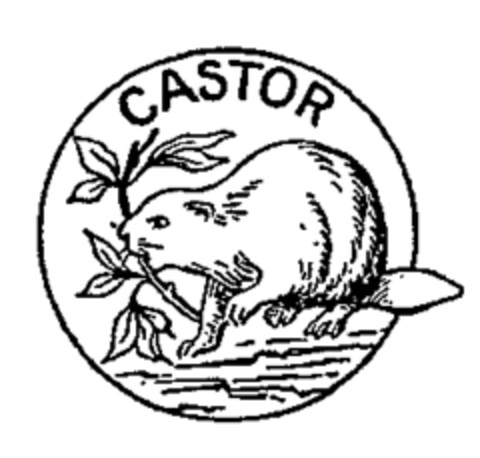CASTOR Logo (WIPO, 30.11.1951)