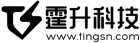 TS www.tingsn.com Logo (WIPO, 12.03.2019)