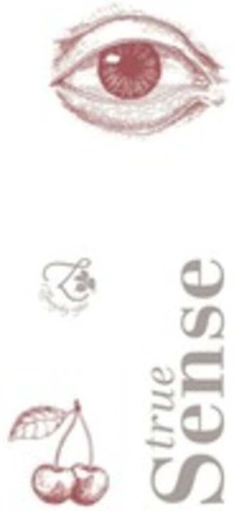 true Sense Logo (WIPO, 25.10.2022)